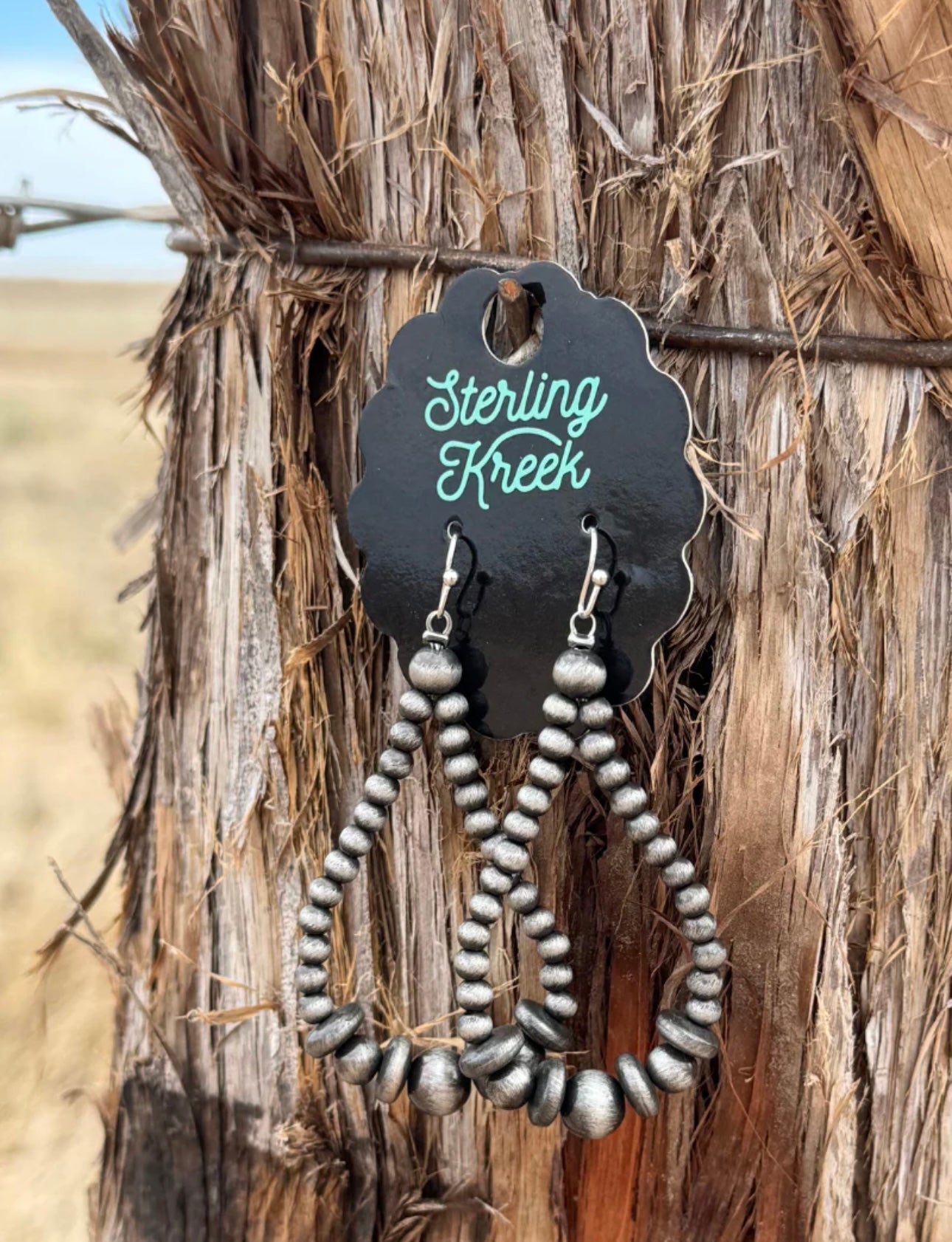 Silver City Earrings